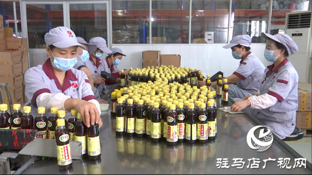 驛城區(qū)正道油業(yè)：借力農(nóng)加會，讓本土特產(chǎn)香飄四海