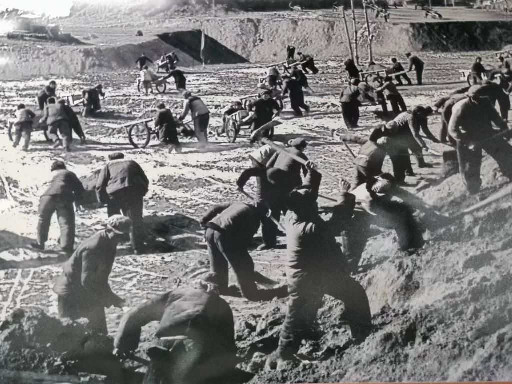 新時(shí)代新征程新偉業(yè)·習(xí)近平總書記關(guān)切事丨黃河之水天上來，奔流到此“青”幾許——黃河“幾字彎”生態(tài)治理一線故事
