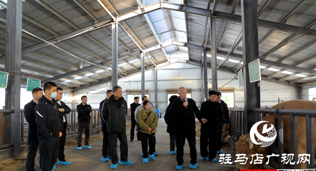 清華大學(xué)健康中國考察團(tuán)到泌陽開展實地調(diào)研