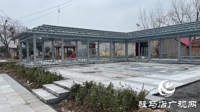 駐村第一書(shū)記王艷芳：為?服務(wù)受表?yè)P(yáng)