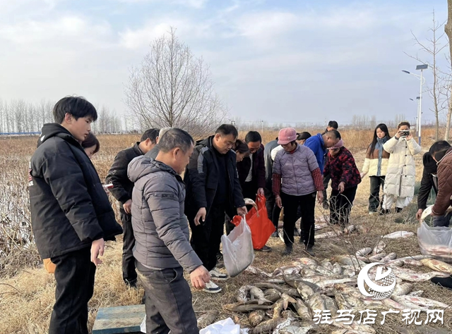 新春走基層||平輿縣：開年“起魚”忙 漁民樂(lè)豐收