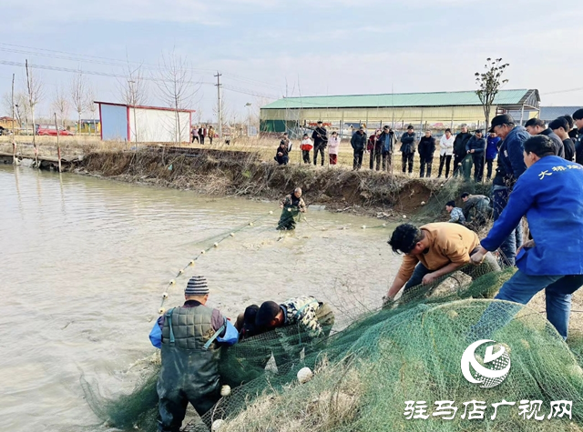 新春走基層||平輿縣：開年“起魚”忙 漁民樂(lè)豐收