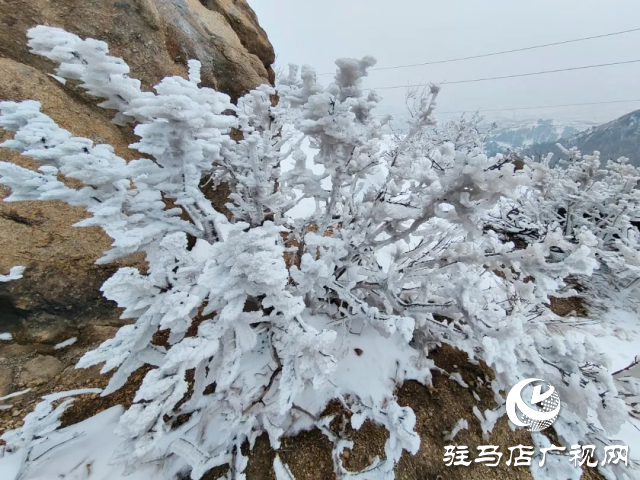 美呆了！羅漢山開(kāi)啟雪凇、霧凇雙景齊現(xiàn)模式