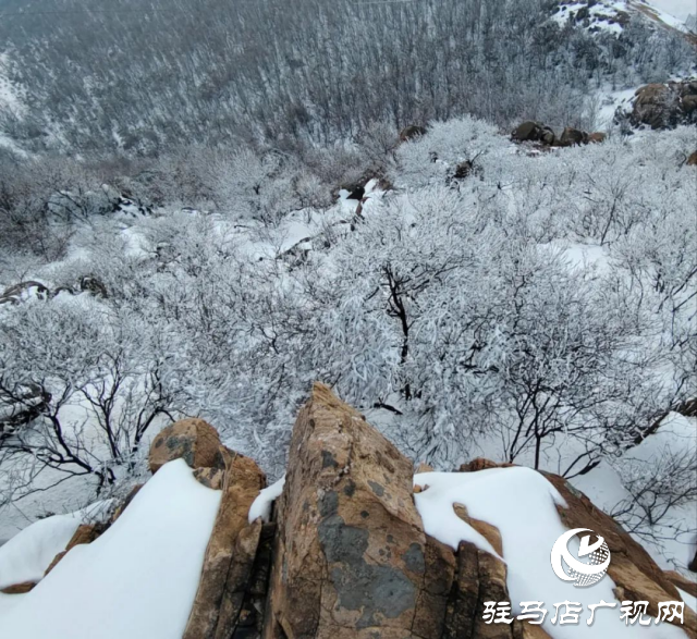 美呆了！羅漢山開(kāi)啟雪凇、霧凇雙景齊現(xiàn)模式