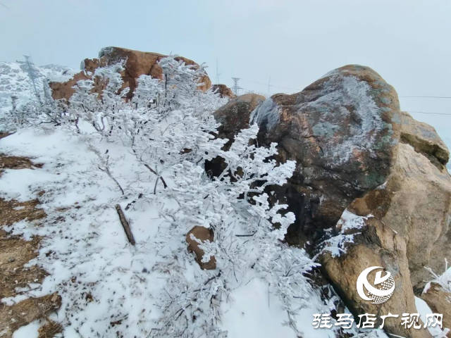 美呆了！羅漢山開(kāi)啟雪凇、霧凇雙景齊現(xiàn)模式