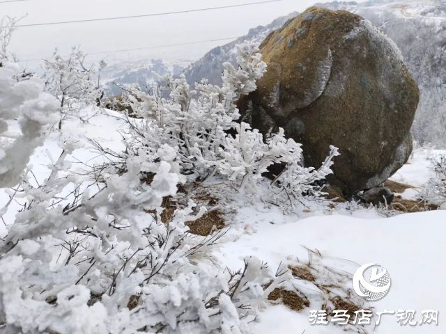 美呆了！羅漢山開(kāi)啟雪凇、霧凇雙景齊現(xiàn)模式