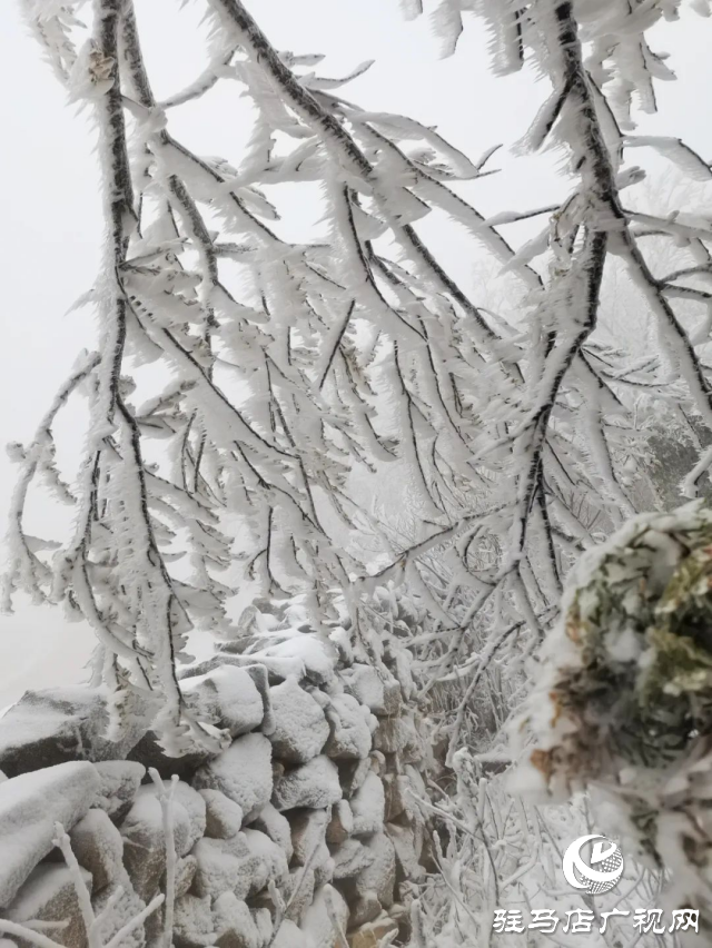 美呆了！羅漢山開(kāi)啟雪凇、霧凇雙景齊現(xiàn)模式