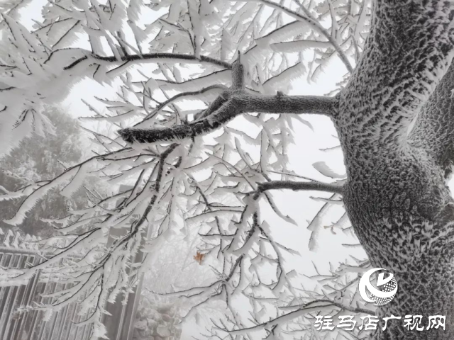 美呆了！羅漢山開(kāi)啟雪凇、霧凇雙景齊現(xiàn)模式