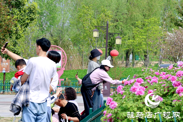 清明假期，汝南縣文旅市場“多點開花”