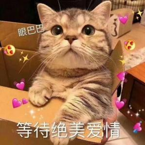 “520”送束“現(xiàn)金花”？有點說“法”！