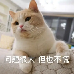 “520”送束“現(xiàn)金花”？有點說“法”！