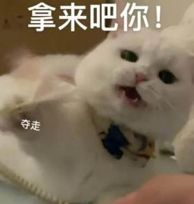 “520”送束“現(xiàn)金花”？有點說“法”！