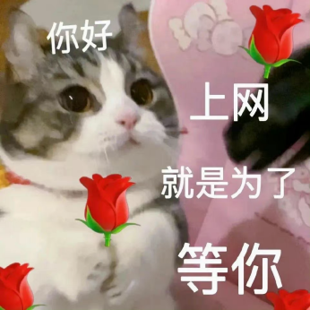 “520”送束“現(xiàn)金花”？有點說“法”！