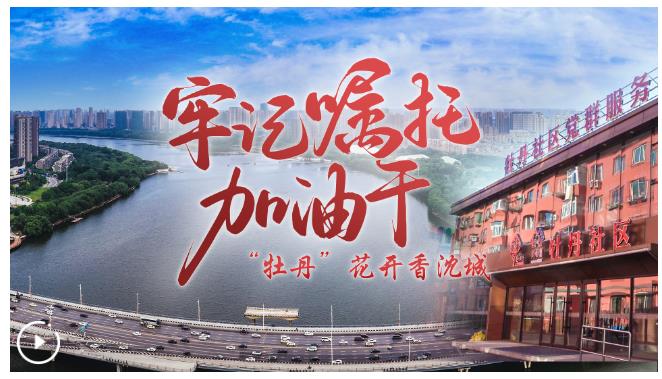 牢記囑托加油干｜“牡丹”花開香沈城