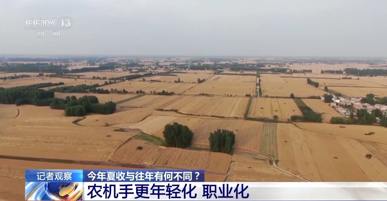 秸稈經(jīng)紀人、智能化新農(nóng)機……今年夏收有何不同？
