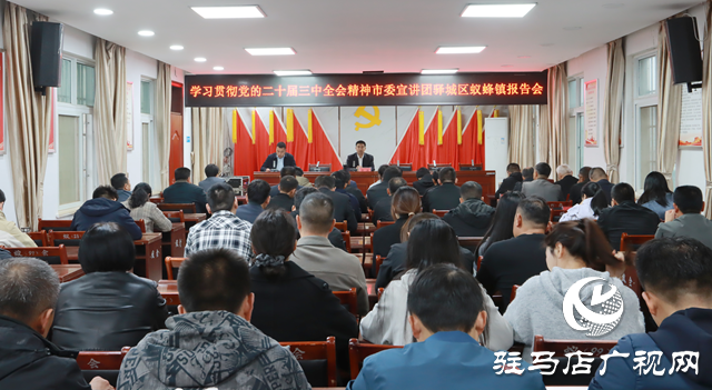 學(xué)習(xí)貫徹黨的二十屆三中全會精神市委宣講團報告會在驛城區(qū)蟻蜂鎮(zhèn)舉行