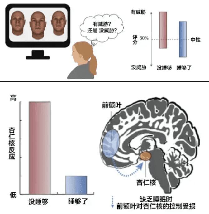 你以為的正?，F(xiàn)象，其實(shí)是睡眠不足！這份“熬夜急救包”請(qǐng)收好