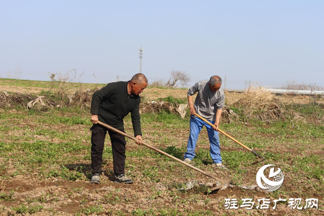 驛城區(qū)香山街道：搶抓春耕好時(shí)機(jī) 種下藥材“金種子”