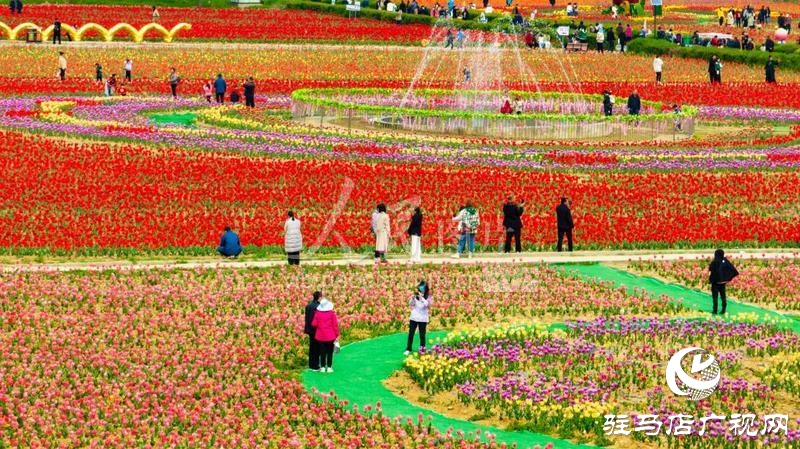 【邀您打卡】3月22日，嵖岈山郁金香園盛大啟幕