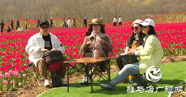 【邀您打卡】3月22日，嵖岈山郁金香園盛大啟幕