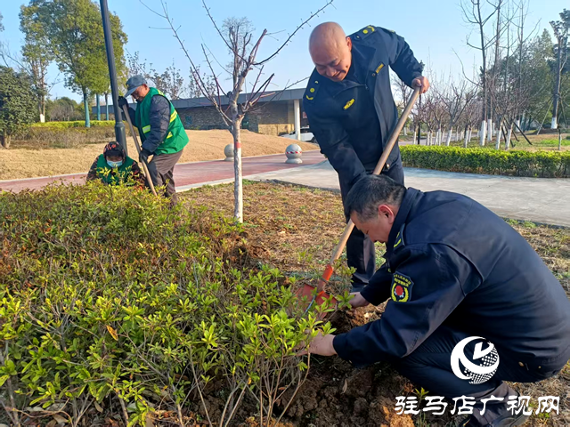 確山縣住建局：春季綠化養(yǎng)護(hù)忙，不負(fù)春景好時(shí)光