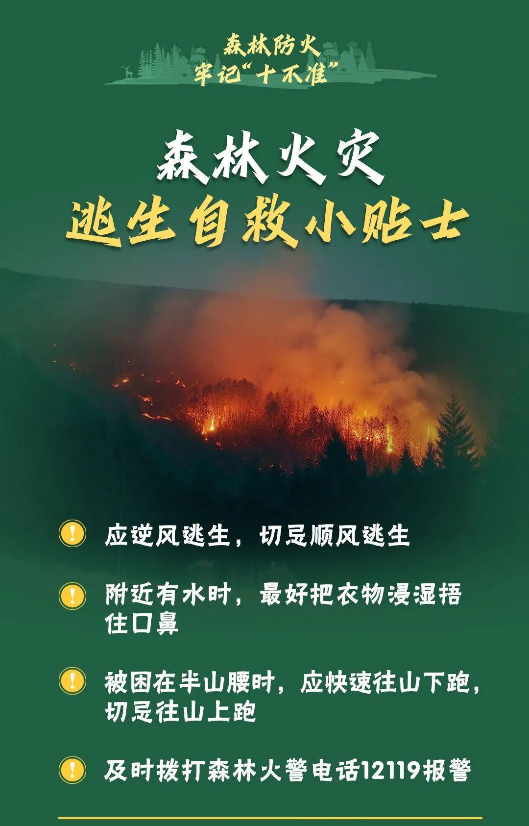山火連發(fā)，原因公布！多地拉響紅色預(yù)警→