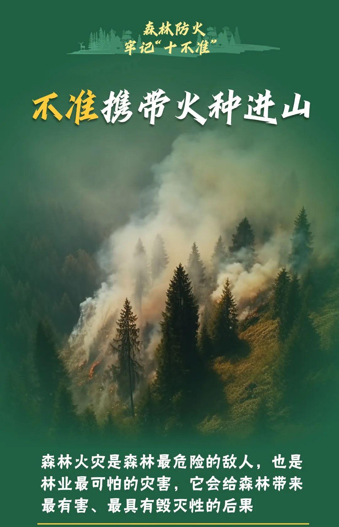 山火連發(fā)，原因公布！多地拉響紅色預(yù)警→