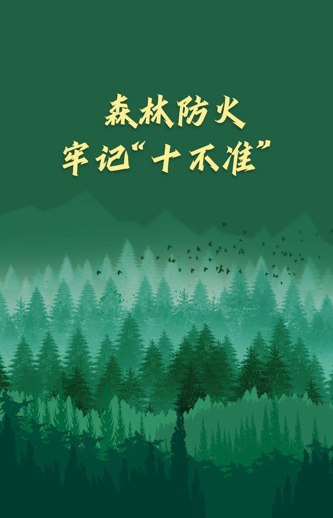 山火連發(fā)，原因公布！多地拉響紅色預(yù)警→