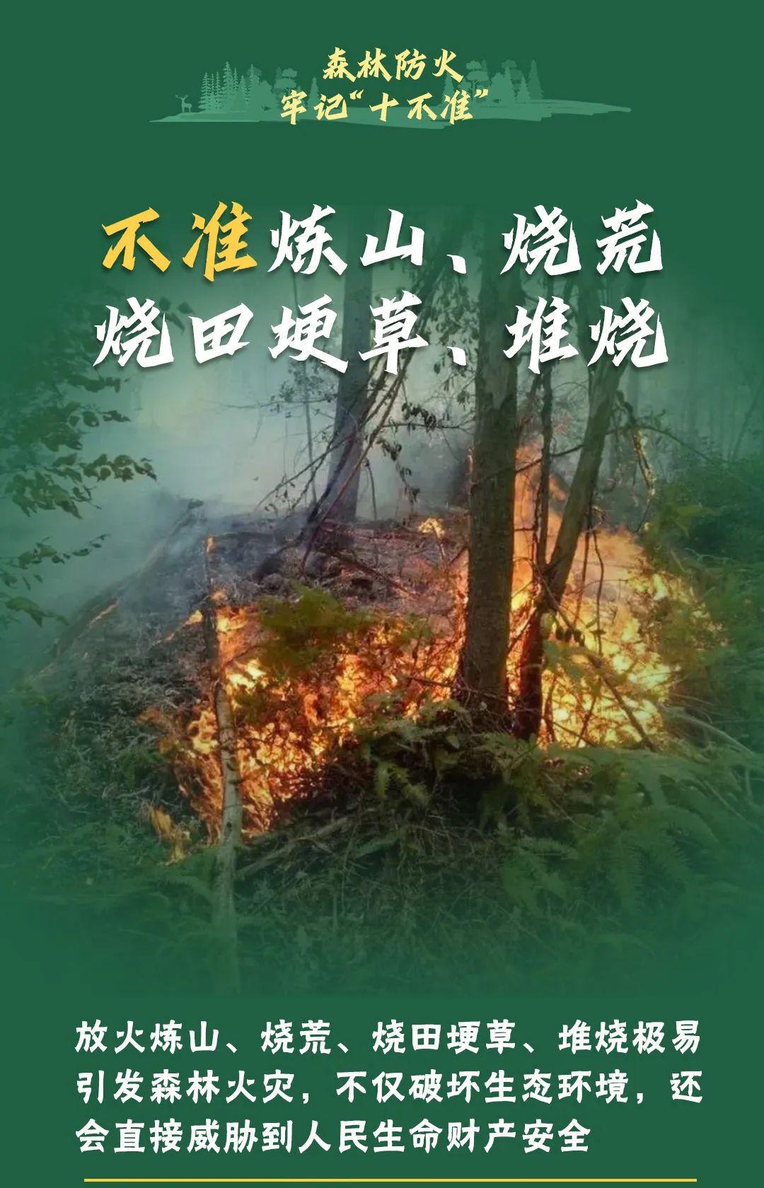 山火連發(fā)，原因公布！多地拉響紅色預(yù)警→