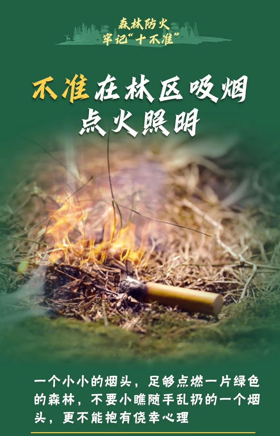 山火連發(fā)，原因公布！多地拉響紅色預(yù)警→