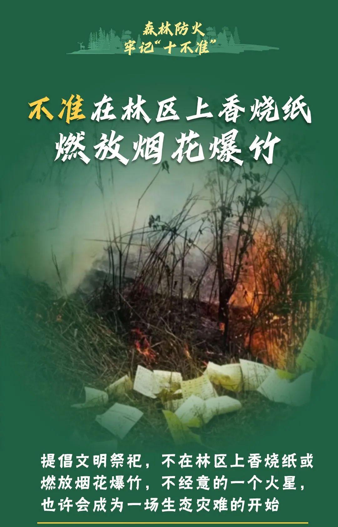 山火連發(fā)，原因公布！多地拉響紅色預(yù)警→