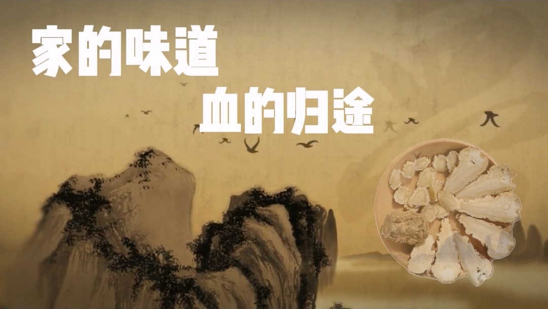 家的味道，血的歸途——駐馬店市中醫(yī)院