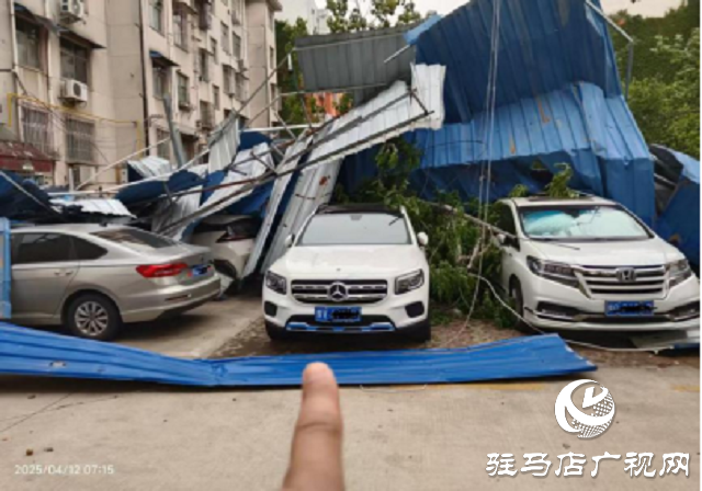 大風(fēng)天氣車輛受損  中國人壽財(cái)險(xiǎn)駐馬店公司高效救援 