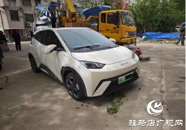 大風(fēng)天氣車輛受損  中國人壽財(cái)險(xiǎn)駐馬店公司高效救援 