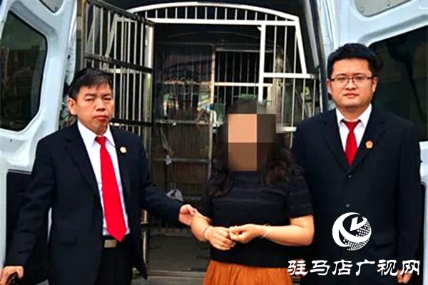 平輿縣人民法院：破曉而行，集中執(zhí)行持續(xù)“升溫”