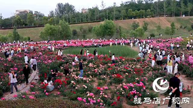 綠意蔥蘢花滿城！確山縣住建局精心打造“城市大花園”
