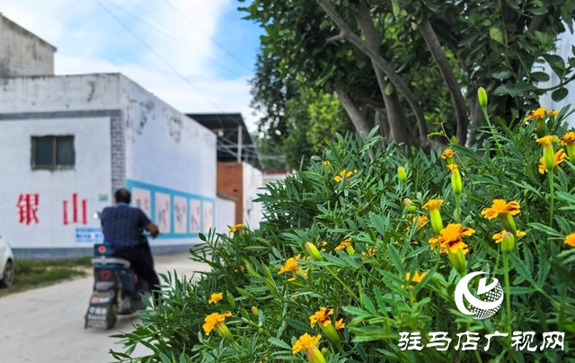 泌陽縣黃山口鄉(xiāng)：宜居鄉(xiāng)村宜共建，美好生活奮斗來