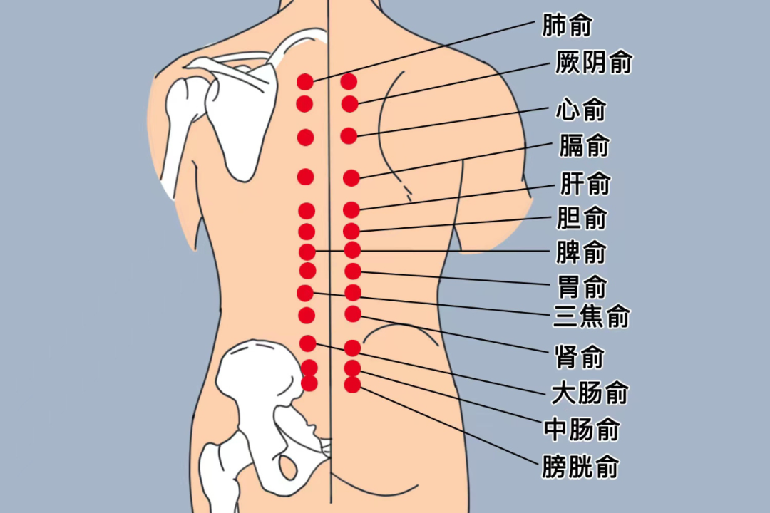 春夏交替易疲勞，4件事養(yǎng)好精力