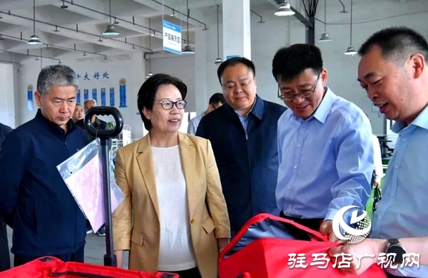 河南省文化和旅游廳副廳長周耀霞到平輿縣調(diào)研指導工作