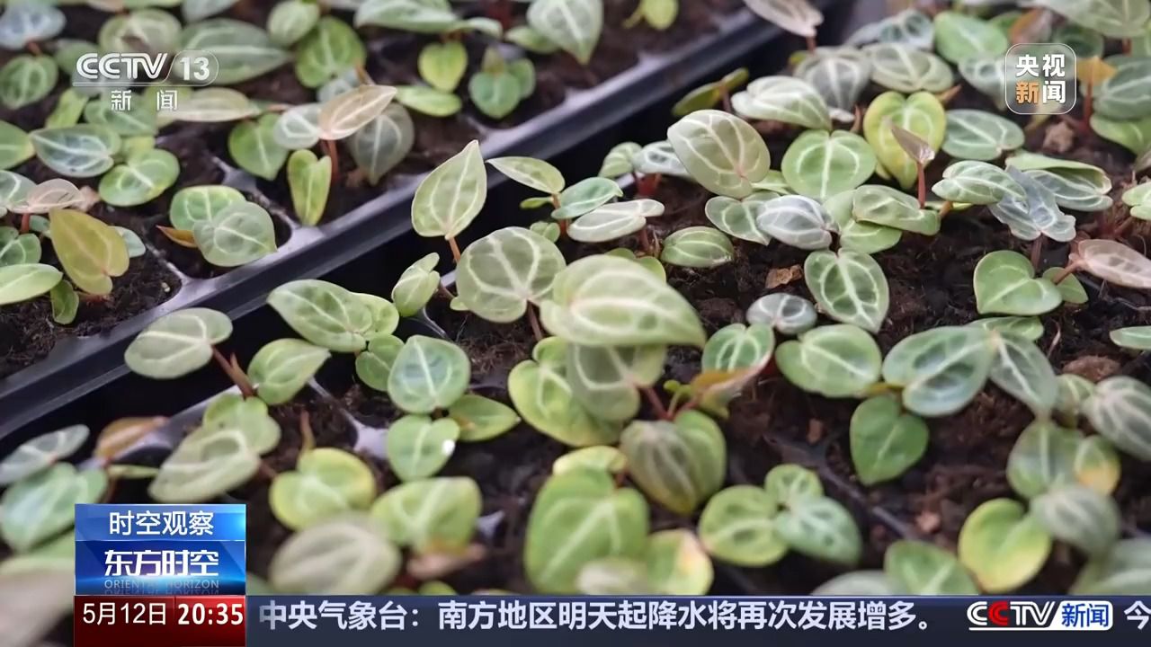 花錢開心 今天你“情緒消費(fèi)”了嗎？