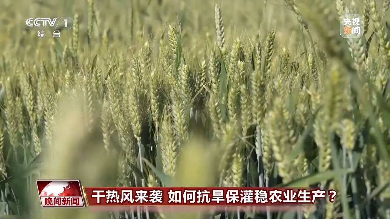 干熱風(fēng)來襲 如何抗旱保灌穩(wěn)農(nóng)業(yè)生產(chǎn)？