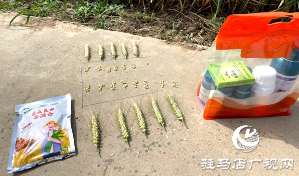 普眾良田農業(yè)科技有限公司成功舉辦谷滿倉增產肥種植技術交流會暨VIP客戶答謝會