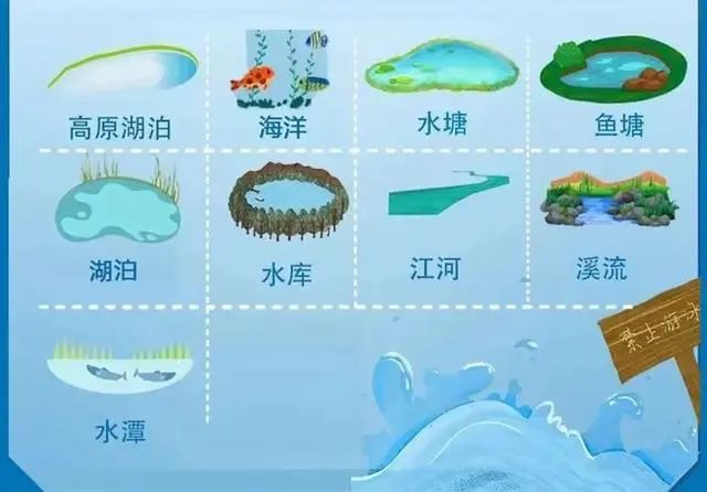 應急時刻|野游，竟腳綁啞鈴……