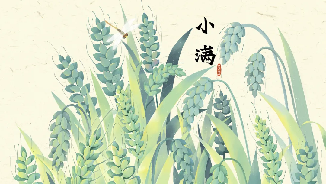 今日小滿：小得盈滿，萬(wàn)物可期