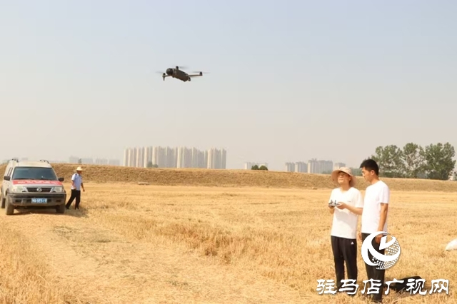  關(guān)王廟鄉(xiāng)開展“三夏”麥?zhǔn)辗阑鹦麄骱脱膊橹卫砉ぷ? /></a></p>
<p>截止目前，已懸掛橫幅130余條，張貼致農(nóng)民朋友的一封信500余張、發(fā)放宣傳彩頁(yè)9000余份，發(fā)動(dòng)黨員干部200余人，做到全方位、廣角度、多形式宣傳和巡查，營(yíng)造了全鄉(xiāng)“不能燒、不敢燒、不想燒”的濃厚氛圍。下一步，關(guān)王廟鄉(xiāng)將持續(xù)凝聚強(qiáng)大合力，全力以赴保障夏糧顆粒歸倉(cāng)。</p>
      <!--ecms.*-->
      <p class=