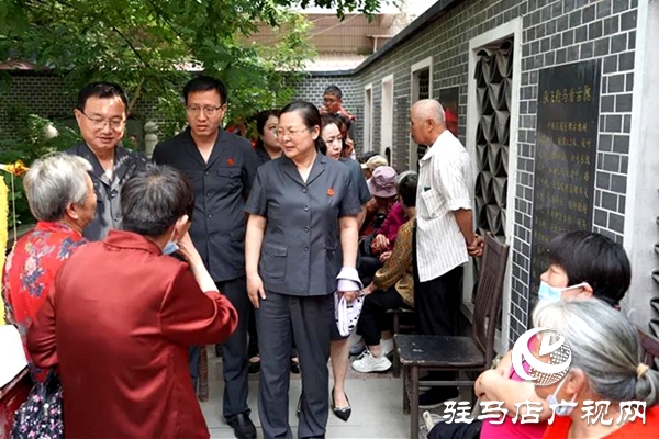 古槐樹下，“組團(tuán)”護(hù)綠——平輿縣人民法院聯(lián)合發(fā)布“司法保護(hù)令”