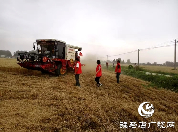 平輿縣廟灣鎮(zhèn)：志愿紅田間助農(nóng)搶收  黨群同心護航三夏