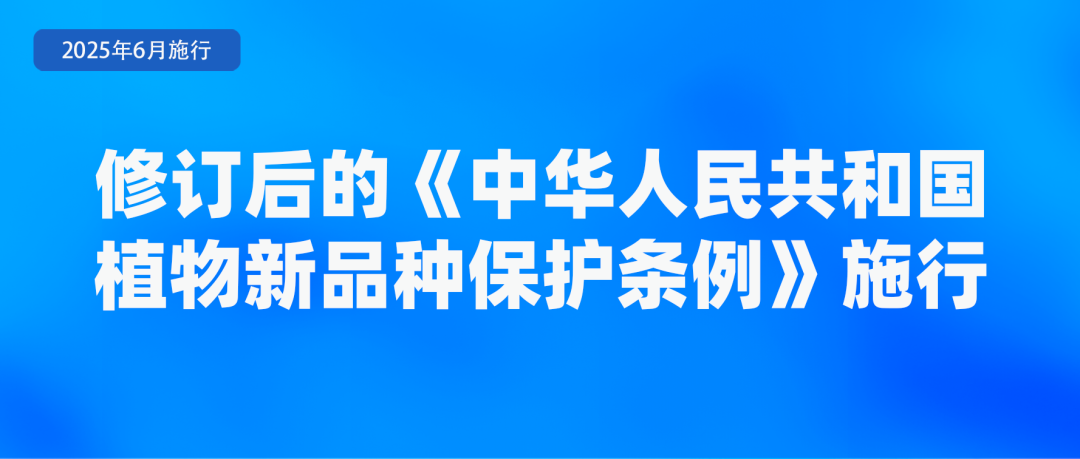 6月起，這些新規(guī)將影響你我生活！