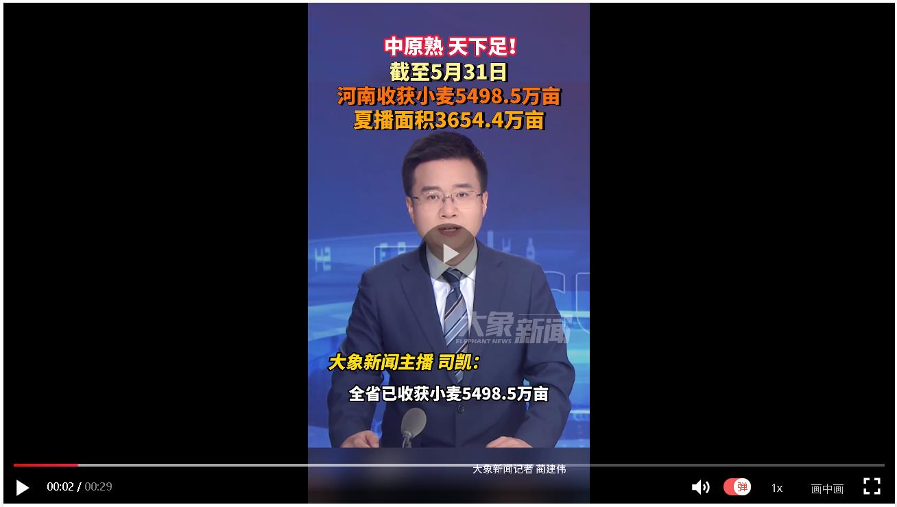 中原熟，天下足！河南已收獲小麥5498.5萬畝