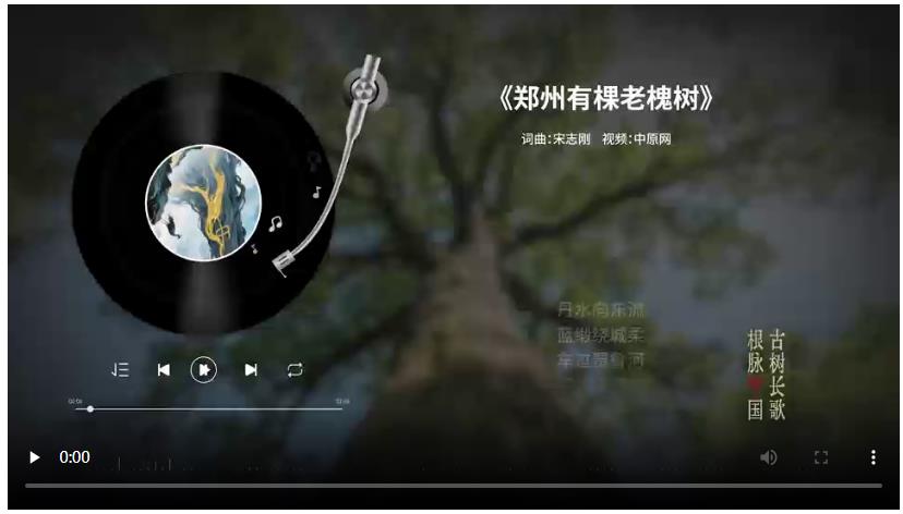 把古樹唱成歌，“古樹長歌”策劃引發(fā)“薦樹”熱潮
